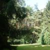 Tuin 