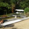 Tuin met zwemvijver