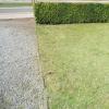 Tuin voor woning