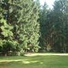 Tuin