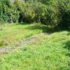 Tuin